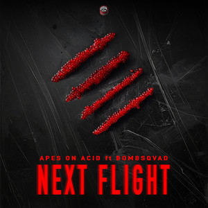 Next Flight