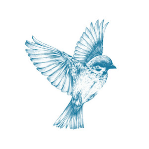 For the Birds