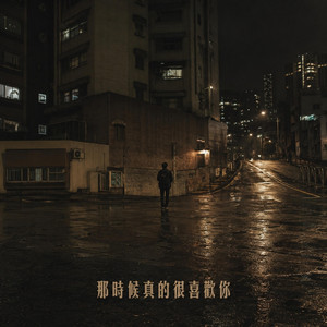 那時候真的很喜歡你｜怀旧R&B｜青春回忆版｜收藏版｜多年以后想起那段心动依然觉得很真 by 吴田合