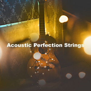 Acoustic Perfection Strings