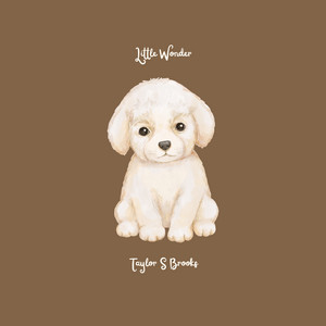 Little Wonder by Taylor S Brooks