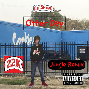 Lil Skips - Other Day (Remix)