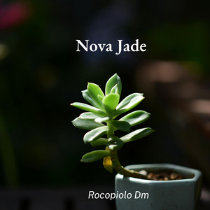 Nova Jade by Rocopiolo Dm