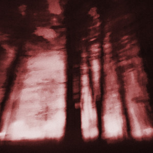 the voices call by Red X