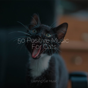 50 Positive Music For Cats album
