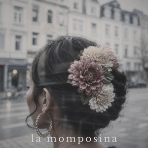 la momposina by plyng