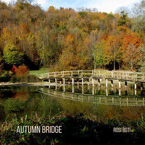 Autumn Bridge by Rosi Botí
