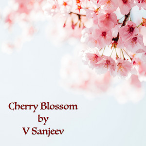 Cherry Blossom