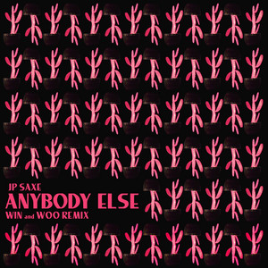 Anybody Else (Win and Woo Remix) by JP Saxe