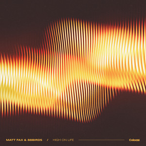 High On Life by Matt Fax, 88Birds