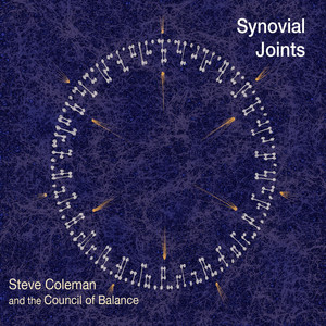 Synovial Joints — Steve Coleman and the Council of Balance
