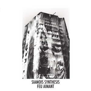 Feu aimant — Siamois Synthesis