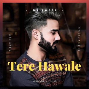 DJ Zabbi - Tere Hawale (Remix)