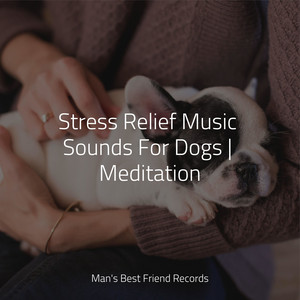 Stress Relief Music Sounds For Dogs | Meditation album