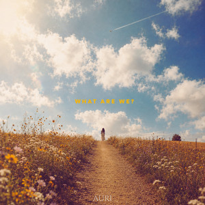 What are we? by AURI