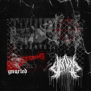GNARLED by VANTA NC
