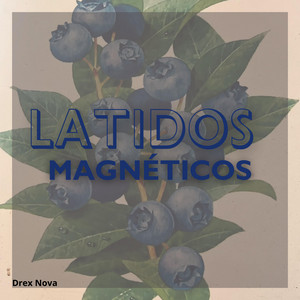 Latidos magnéticos by OusiPool