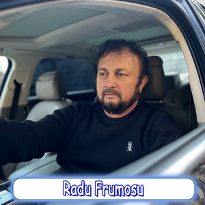 Sandu Ciorba - Radu Frumosu