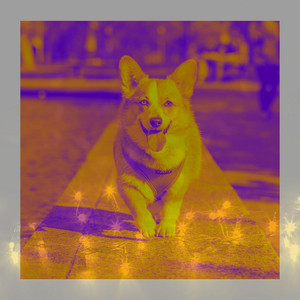 Echoes of Doggy Parties album