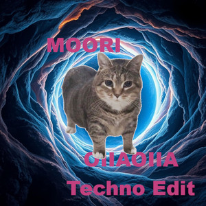 Oiiaoiia - Techno Edit