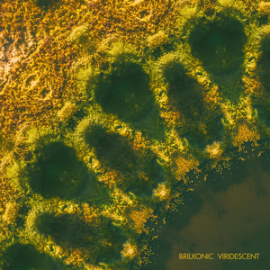Brilxonic - Cascade