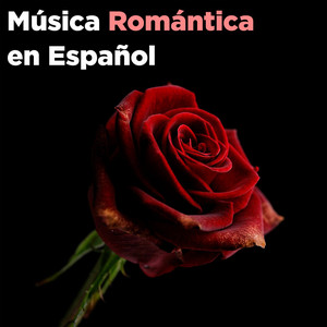 Portada de Bemaste