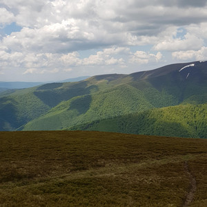 Вирок На Кістках
