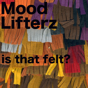 This Is Bullshit - song and lyrics by The Mood Lifterz | Spotify