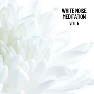 White Noise Meditation, Vol. 5 (The White Noise Zen & Meditation Sound Lab) album