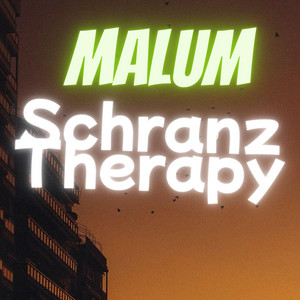 Schranz therapy by Malum