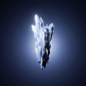 Dermaptera by Stereo Suhl
