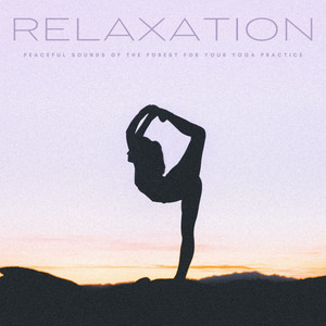 Relaxation: Peaceful Sounds Of The Forest For Your Yoga Practice album