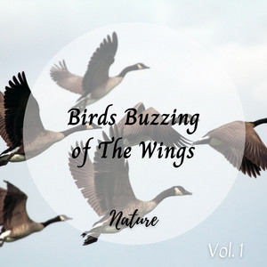 Nature: Birds Buzzing of The Wings Vol. 1 album