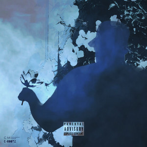 C-Rootz album