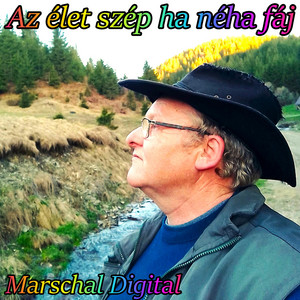 Az élet szép ha néha fáj by Marschal Digital
