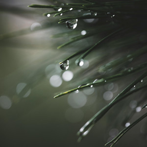 Positive Aura Cleansing With Rain and Piano