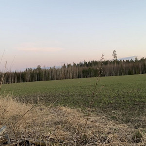 Elämä