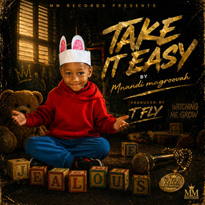 Take it easy by Mnandi Magroovah