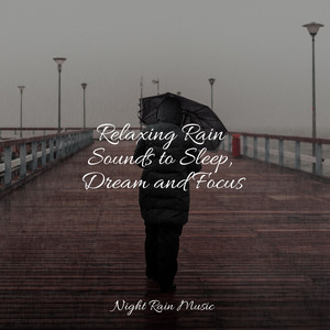 Echo Rains by Tinnitus