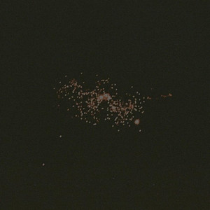 phpkns - Avenues Full of Trees