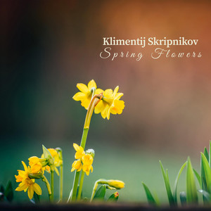 Klimentij Skripnikov - Spring Flowers