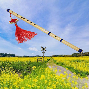 Mailaux - Suab Raj Kho Siab