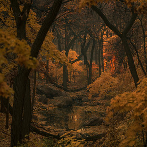 Flow by Metronex