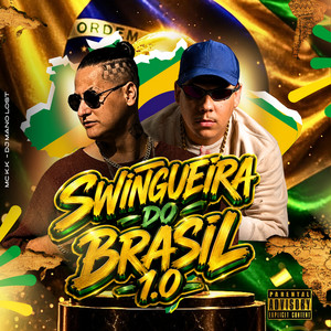Swingueira do Brasil 1.0