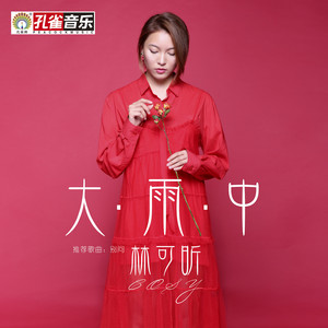 林可昕 - 大雨中