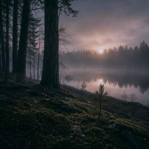 Quiet Dawn by Ørlund