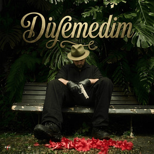 Diyemedim by Hükır