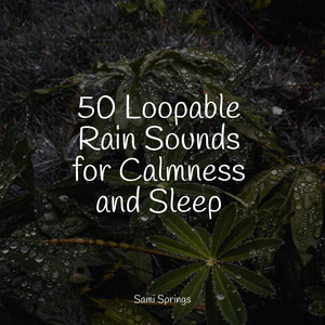 50 Loopable Rain Sounds for Calmness and Sleep album