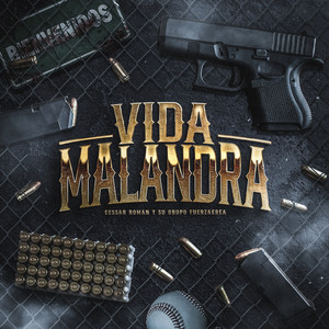 Vida Malandra by Cessar Roman y Su Grupo FuerzAerea