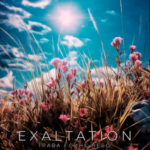 Exaltation — Трава і синє небо